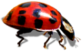 katica_90