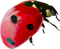 katica_91