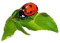 katica_92
