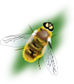 meh_2