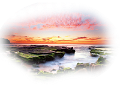 nyar_10