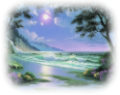 nyar_22