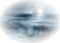 nyar_33