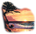 nyar_35