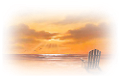 nyar_43