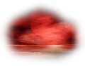 nyar_49