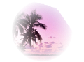 nyar_5