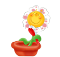 napocska_1