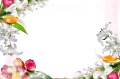 tavaszi_képkeret_36
