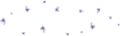 árvácska_36