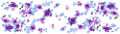 árvácska_56