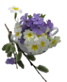 tavaszi_csokor_53