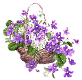 ibolya_54