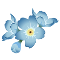 nefelejcs_21