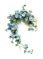 nefelejcs_34