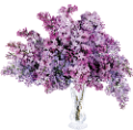 orgona_12
