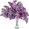 orgona_188