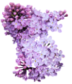 orgona_93
