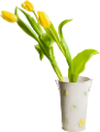 tulipán_228