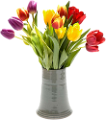 tulipán_264