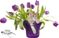 tulipán_267