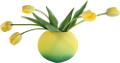 tulipán_271