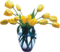 tulipán_272