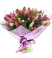 tulipán_322
