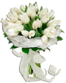 tulipán_331