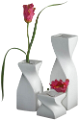 tulipán_334