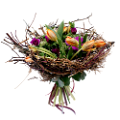 tulipán_336