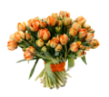 tulipán_337