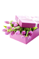 tulipán_341
