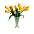 tulipán_386