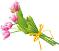 tulipán_387