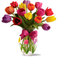 tulipán_399