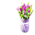 tulipán_424