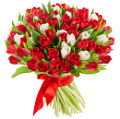 tulipán_425