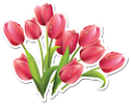 tulipán_433