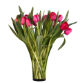 tulipán_434