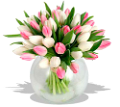 tulipán_435