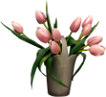tulipán_436