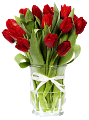tulipán_443
