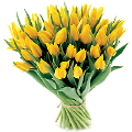 tulipán_468