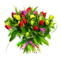 tulipán_471
