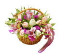 tulipán_473