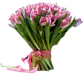 tulipán_491