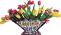 tulipán_493