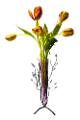 tulipán_519