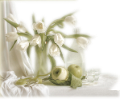 tulipán_521